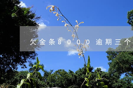 欠金条8000逾期三个月 欠金条8000逾期三个月