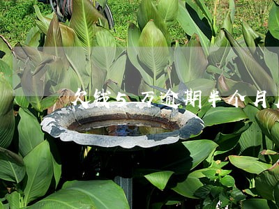 欠钱5万逾期半个月后果 欠钱5万逾期半个月后果