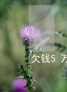 欠钱5万逾期半个月怎么处理 欠钱5万逾期半个月怎么处理