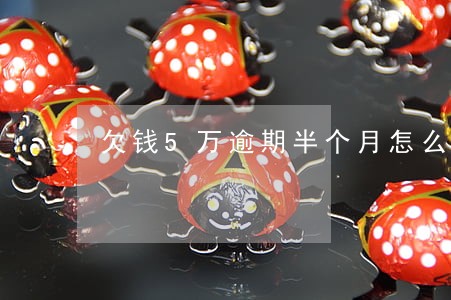 欠钱5万逾期半个月怎么处罚 欠钱5万逾期半个月怎么处罚