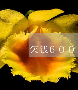 欠钱6000起诉要请律师吗 欠钱6000起诉要请律师吗