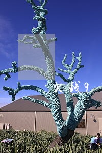 欠钱9万逾期一个月怎么处理 欠钱9万逾期一个月怎么处理