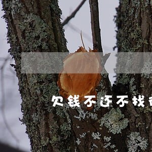 欠钱不还不找律师可以么 欠钱不还不找律师可以么