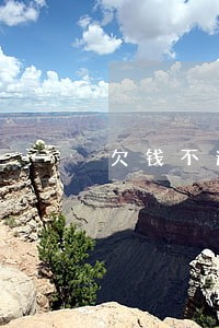 欠钱不还不用请律师 欠钱不还不用请律师