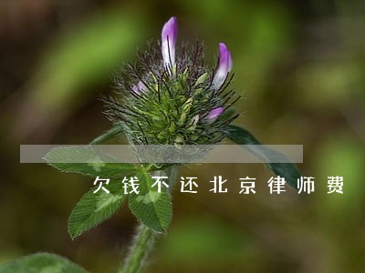 欠钱不还北京律师费 欠钱不还北京律师费