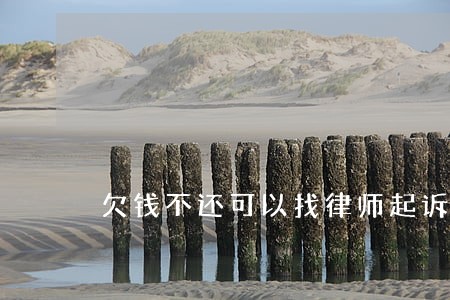 欠钱不还可以找律师起诉费用高吗