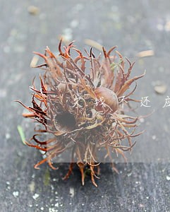 欠钱不还应该找什么律师 欠钱不还应该找什么律师