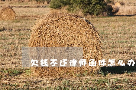 欠钱不还律师函件怎么办 欠钱不还律师函件怎么办