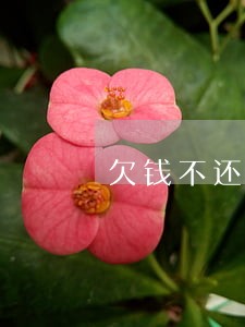 欠钱不还律师函警告 欠钱不还律师函警告