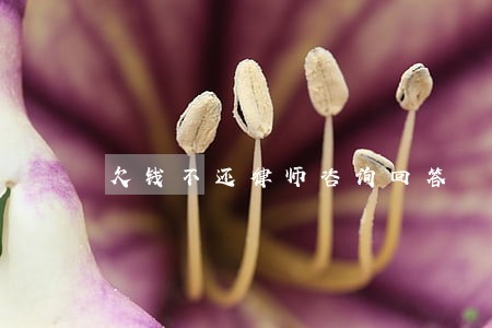 欠钱不还律师咨询回答