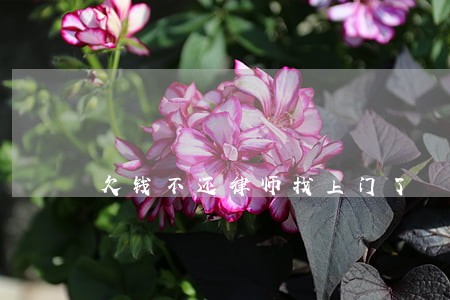 欠钱不还律师找上门了