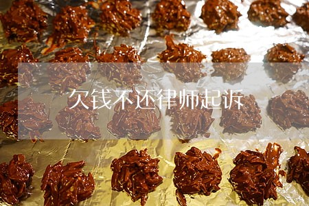 欠钱不还律师起诉 欠钱不还律师起诉