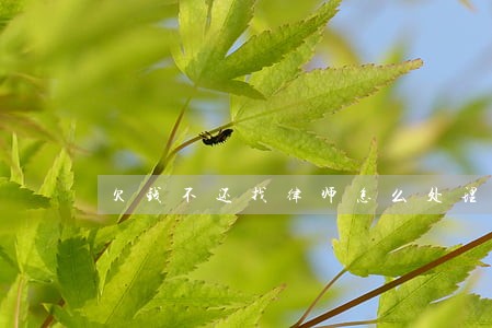 欠钱不还找律师怎么处理 欠钱不还找律师怎么处理