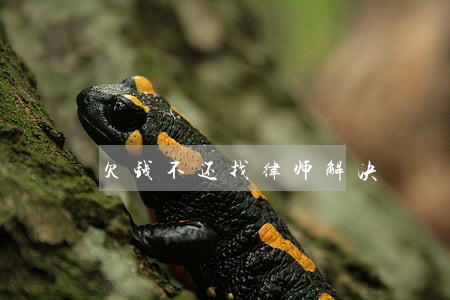 欠钱不还找律师解决 欠钱不还找律师解决