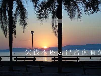 欠钱不还法律咨询有欠条 欠钱不还法律咨询有欠条