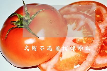 欠钱不还用找律师么 欠钱不还用找律师么