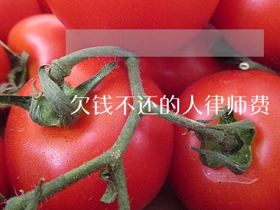欠钱不还的人律师费 欠钱不还的人律师费