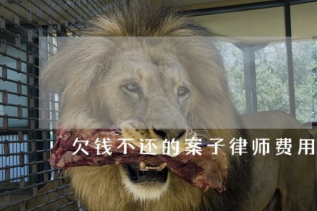 欠钱不还的案子律师费用 欠钱不还的案子律师费用