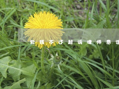 欠钱不还起诉律师费谁出 欠钱不还起诉律师费谁出