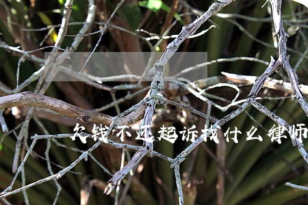 欠钱不还起诉找什么律师 欠钱不还起诉找什么律师