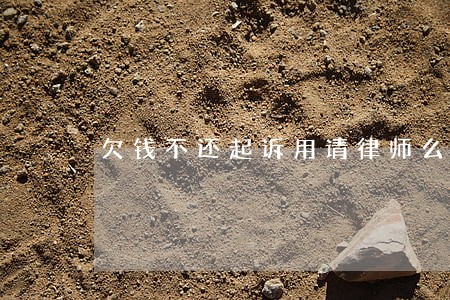 欠钱不还起诉用请律师么 欠钱不还起诉用请律师么
