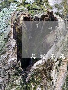 欠钱不还需要到哪个法院起诉有效 欠钱不还需要到哪个法院起诉有效