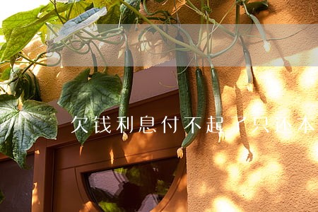 欠钱利息付不起了只还本金行吗 欠钱利息付不起了只还本金行吗