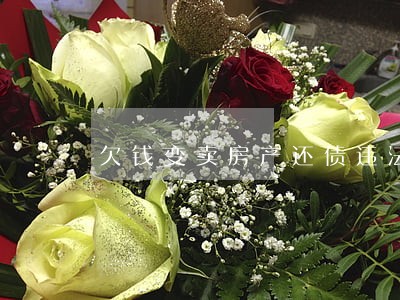 欠钱变卖房产还债违法吗