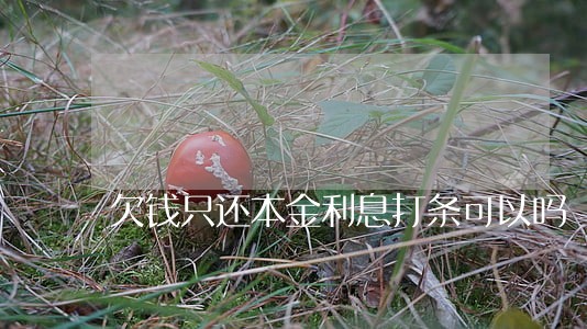 欠钱只还本金利息打条可以吗 欠钱只还本金利息打条可以吗