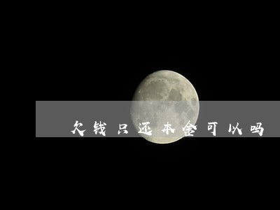欠钱只还本金可以吗