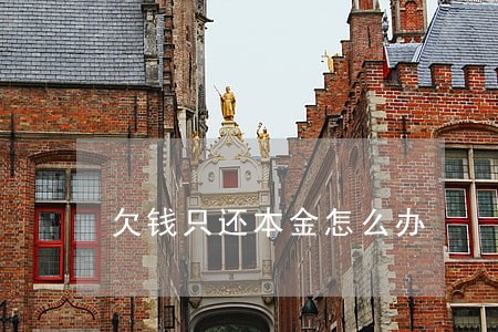 欠钱只还本金怎么办 欠钱只还本金怎么办