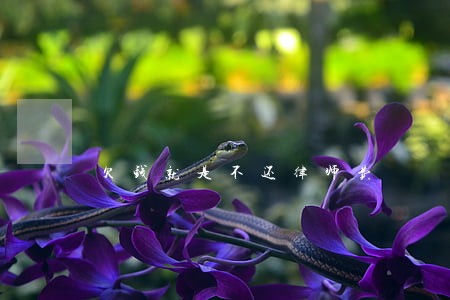 欠钱就是不还律师费 欠钱就是不还律师费