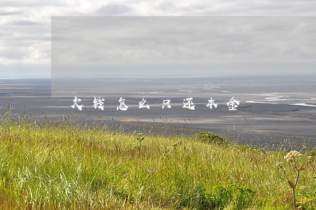 欠钱怎么只还本金