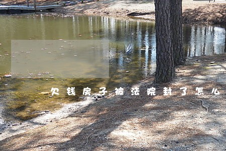 欠钱房子被法院封了怎么办