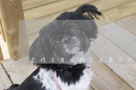 欠钱没有逾期怎么显示信用不好 欠钱没有逾期怎么显示信用不好