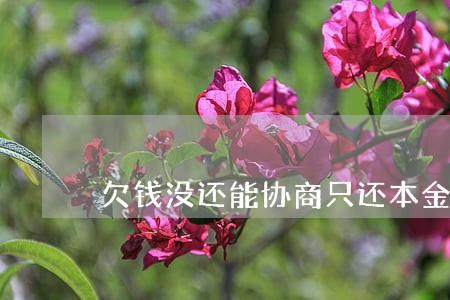 欠钱没还能协商只还本金吗 欠钱没还能协商只还本金吗
