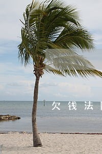 欠钱法院判处后 欠钱法院判处后