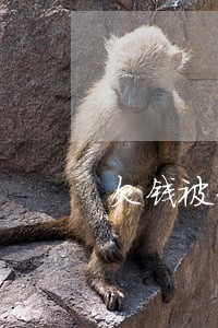 欠钱被告到法院对个人有什么影响