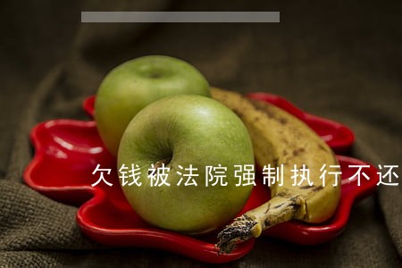 欠钱被法院强制执行不还怎么样办 欠钱被法院强制执行不还怎么样办