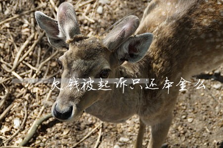 欠钱被起诉只还本金么 欠钱被起诉只还本金么