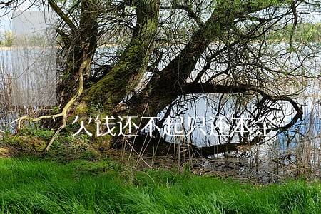 欠钱还不起只还本金