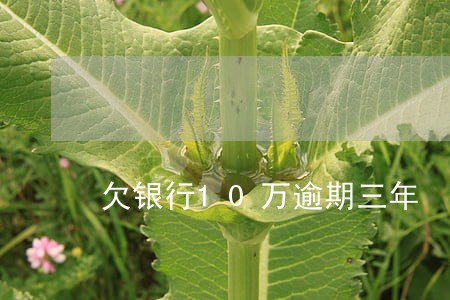 欠银行10万逾期三年 欠银行10万逾期三年