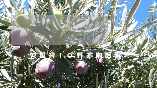 欠银行10万逾期后果 欠银行10万逾期后果