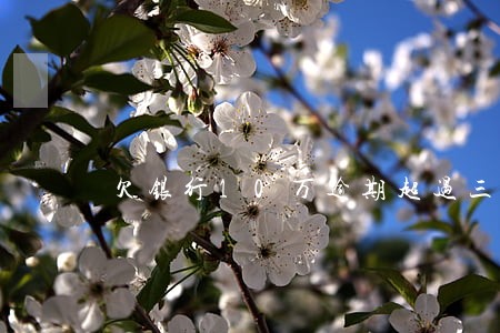 欠银行10万逾期超过三个月 欠银行10万逾期超过三个月