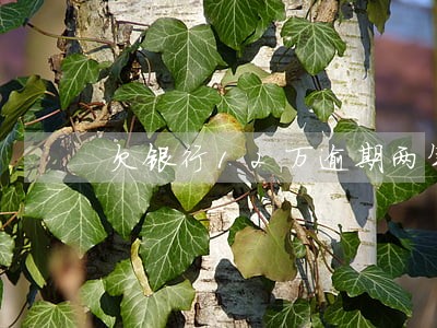 欠银行12万逾期两年 欠银行12万逾期两年