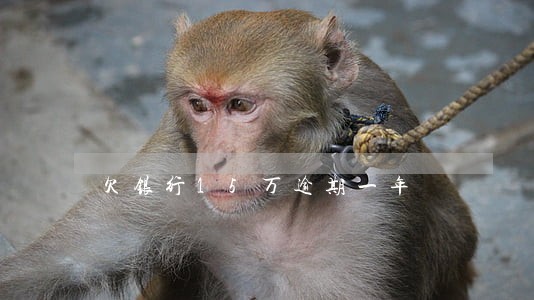 欠银行15万逾期一年