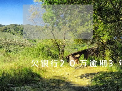 欠银行20万逾期3年 欠银行20万逾期3年