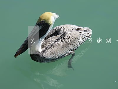 欠银行20多万逾期一年 欠银行20多万逾期一年