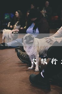 欠银行2万逾期2个月 欠银行2万逾期2个月