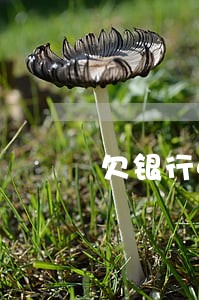 欠银行4万逾期3个月要还多少 欠银行4万逾期3个月要还多少